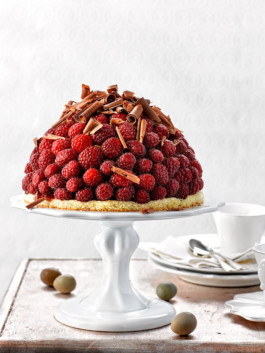 JAN C. BRETTSCHNEIDER