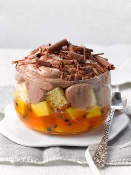 JAN C. BRETTSCHNEIDER