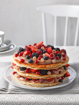 JAN C. BRETTSCHNEIDER