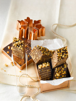 JAN C. BRETTSCHNEIDER