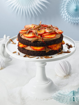 JAN C. BRETTSCHNEIDER