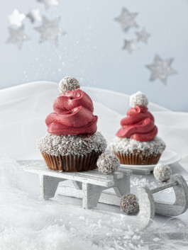 JAN C. BRETTSCHNEIDER