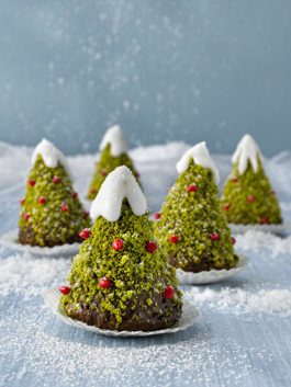 JAN C. BRETTSCHNEIDER