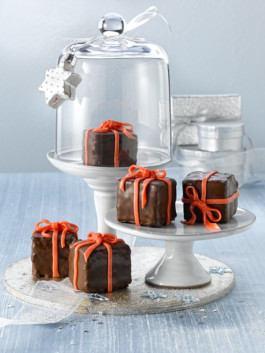 JAN C. BRETTSCHNEIDER