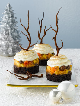 JAN C. BRETTSCHNEIDER