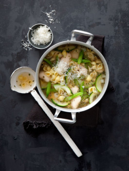 JAN C. BRETTSCHNEIDER