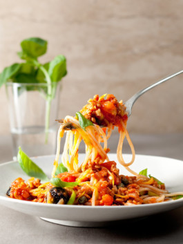 JAN C. BRETTSCHNEIDER