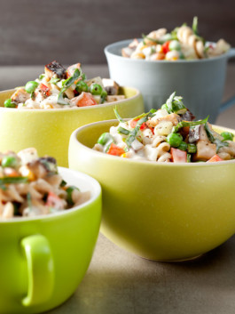 JAN C. BRETTSCHNEIDER