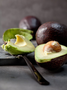 JAN C. BRETTSCHNEIDER