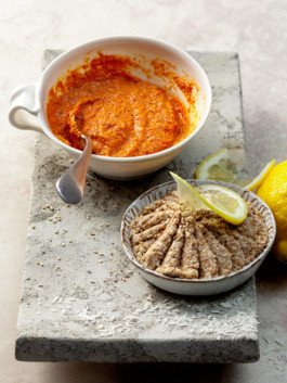 JAN C. BRETTSCHNEIDER