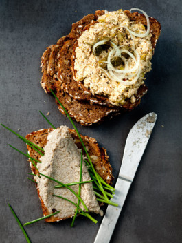 JAN C. BRETTSCHNEIDER