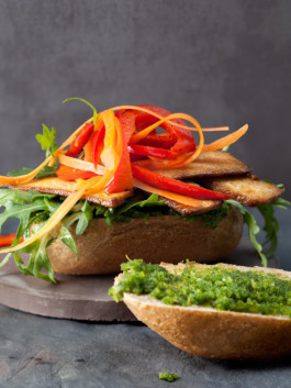 JAN C. BRETTSCHNEIDER