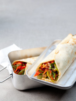 JAN C. BRETTSCHNEIDER