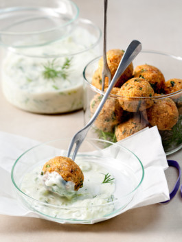 JAN C. BRETTSCHNEIDER