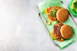 JAN C. BRETTSCHNEIDER