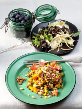 JAN C. BRETTSCHNEIDER