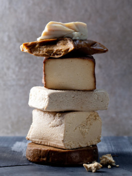 JAN C. BRETTSCHNEIDER