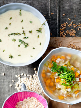 JAN C. BRETTSCHNEIDER