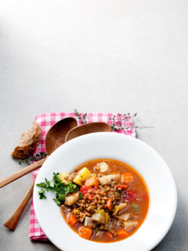 JAN C. BRETTSCHNEIDER