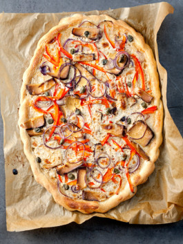 JAN C. BRETTSCHNEIDER