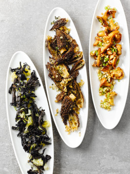 JAN C. BRETTSCHNEIDER