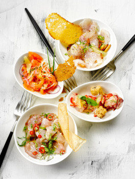 JAN C. BRETTSCHNEIDER