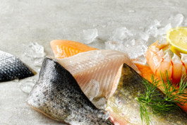 JAN C. BRETTSCHNEIDER