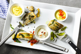 JAN C. BRETTSCHNEIDER