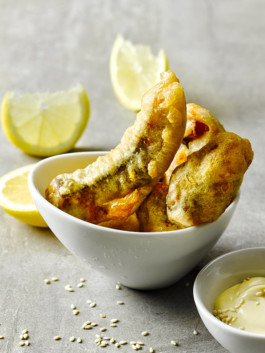 JAN C. BRETTSCHNEIDER