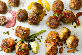 JAN C. BRETTSCHNEIDER