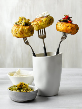 JAN C. BRETTSCHNEIDER