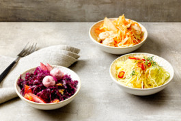 JAN C. BRETTSCHNEIDER