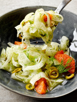 JAN C. BRETTSCHNEIDER