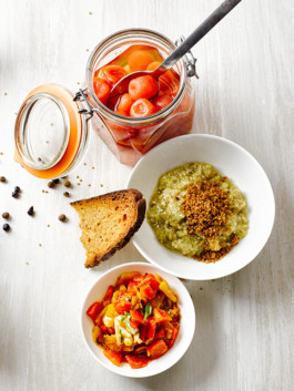 JAN C. BRETTSCHNEIDER