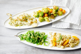 JAN C. BRETTSCHNEIDER