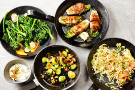 JAN C. BRETTSCHNEIDER