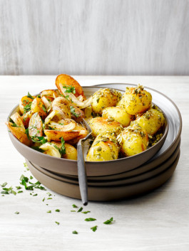 JAN C. BRETTSCHNEIDER