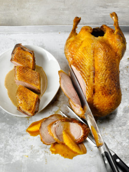 JAN C. BRETTSCHNEIDER