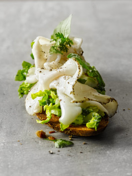 JAN C. BRETTSCHNEIDER