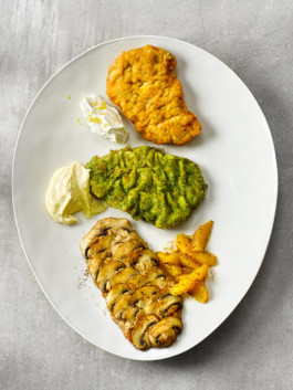 JAN C. BRETTSCHNEIDER