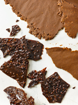 JAN C. BRETTSCHNEIDER