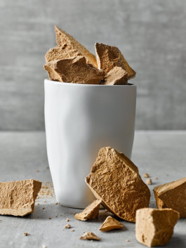 JAN C. BRETTSCHNEIDER