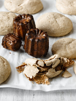 JAN C. BRETTSCHNEIDER