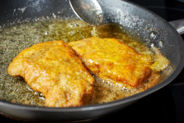 JAN C. BRETTSCHNEIDER