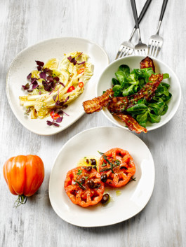 JAN C. BRETTSCHNEIDER