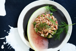 JAN C. BRETTSCHNEIDER