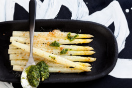 JAN C. BRETTSCHNEIDER