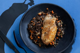 JAN C. BRETTSCHNEIDER