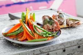 JAN C. BRETTSCHNEIDER