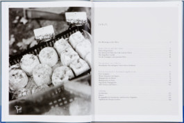 JAN C. BRETTSCHNEIDER